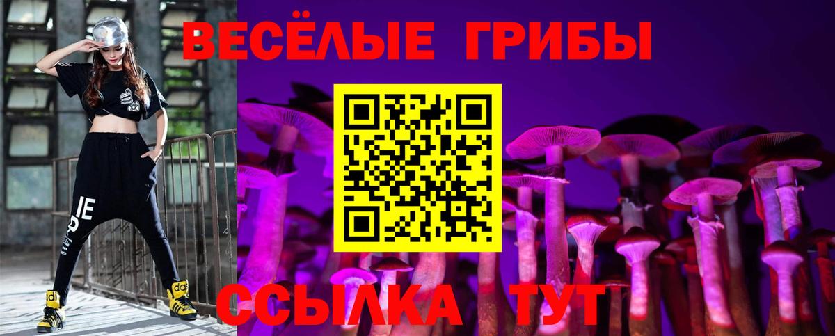 Подольск  купить закладку  Вход с VPN  Галлюциногенные грибы GOLDEN TEACHER 