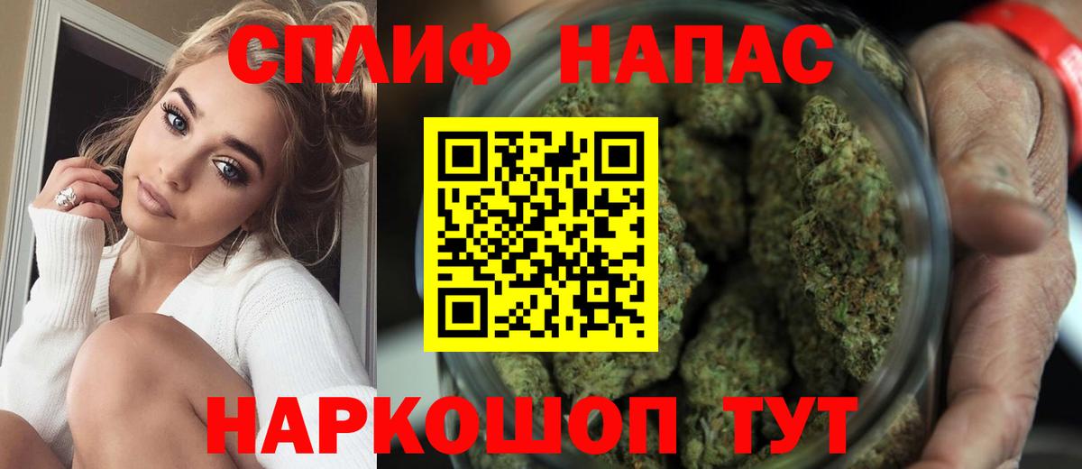 Канабис конопля Подольск